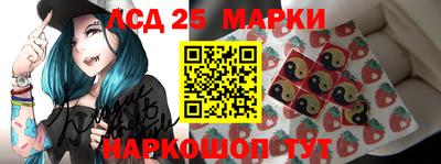 индика Кандалакша