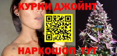 индика Кандалакша