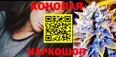 тгк Канаш