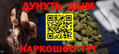 индика Кандалакша