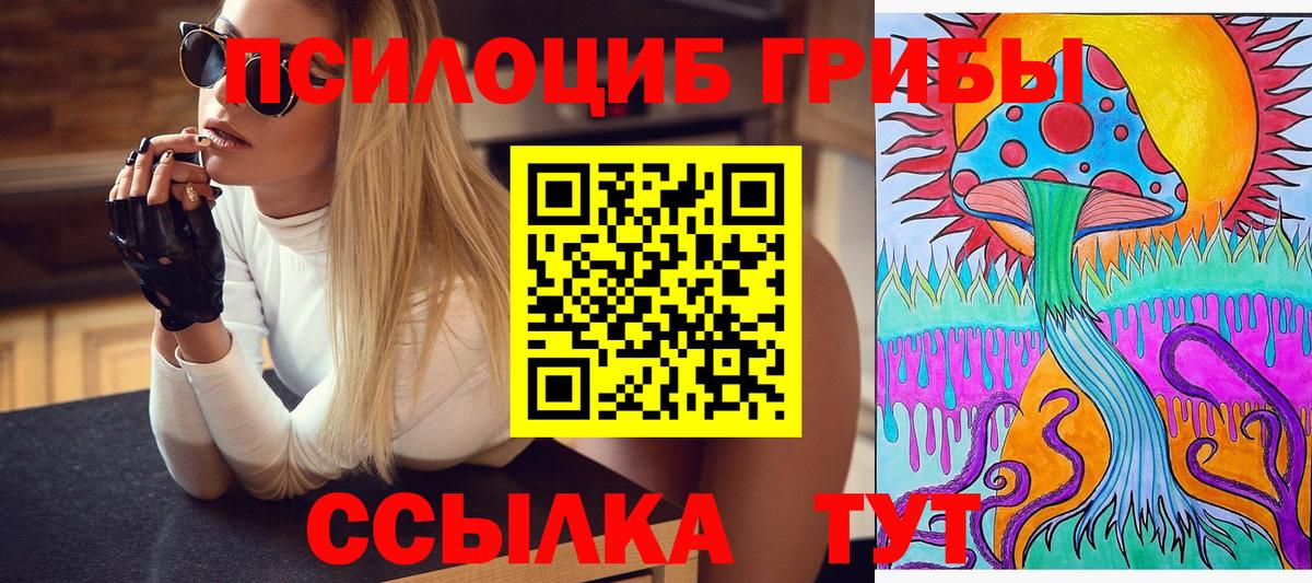 Армавир  Псилоцибиновые грибы GOLDEN TEACHER  Псилоцибиновые грибы прущие грибы  Вход с VPN 